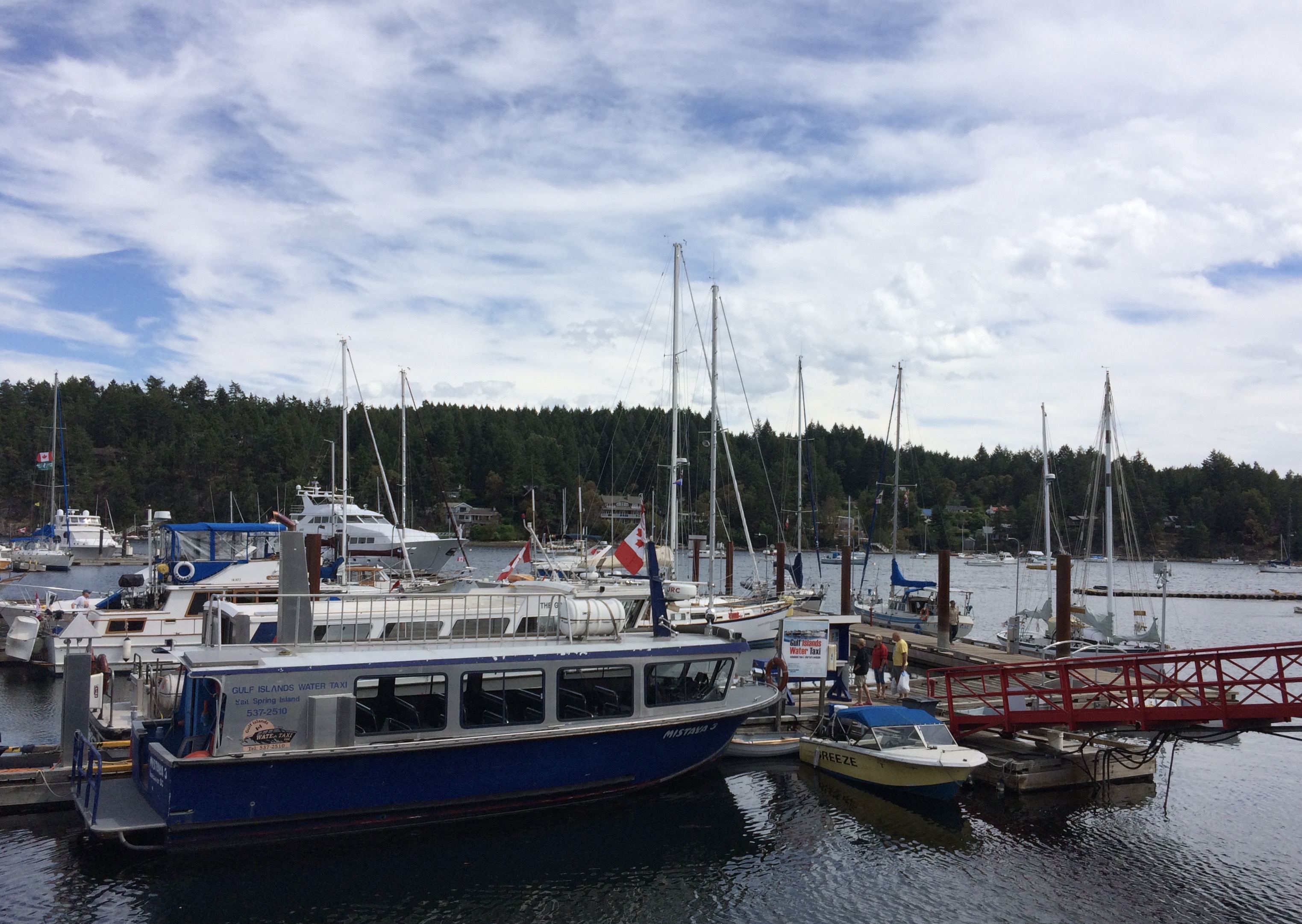 Boats tied up to a dock in the Salish Sea